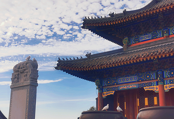 孝庄园文化旅游区第 30 张图片