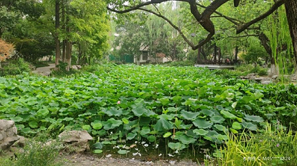越秀公园第 1 张图片