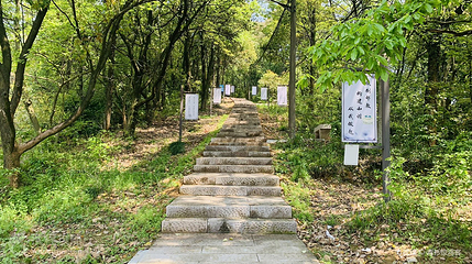 老虎洞山第 2 张图片
