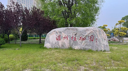 中海公园(渤海十六路)-滨州植物园第 1 张图片