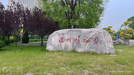 中海公园(渤海十六路)-滨州植物园第 3 张图片