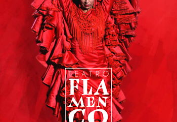 塞维利亚Teatro Flamenco Sevilla弗拉明戈剧院第 6 张图片