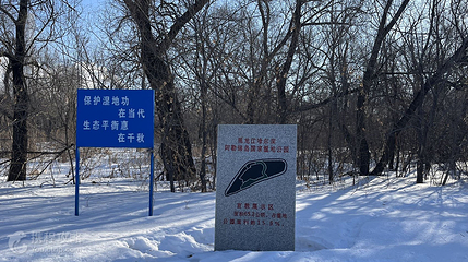 黑龙江哈尔滨阿勒锦岛国家湿地公园第 4 张图片