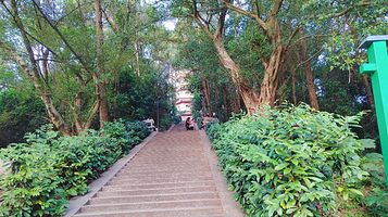 四会市贞山旅游度假区