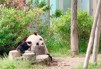 青岛动物园第 13 张图片