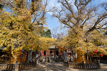 嵩阳景区第 15 张图片