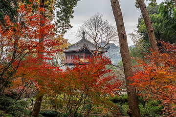 灵隐飞来峰景区第 157 张图片
