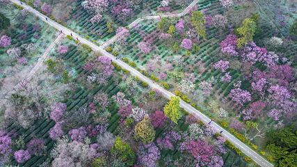 钟山风景名胜区第 101 张图片