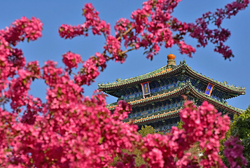 景山公园第 3 张图片