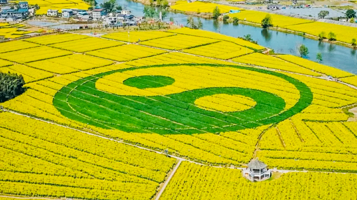 重庆潼南油菜花节