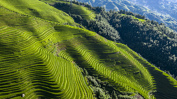 龙脊梯田风景名胜区-金坑梯田