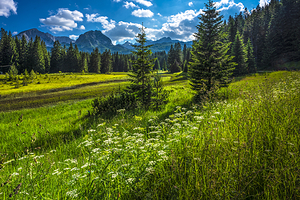 杜米托尔国家公园