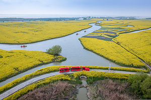 高邮湖滩郊野公园