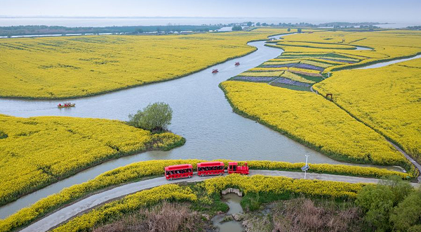 高邮湖滩郊野公园