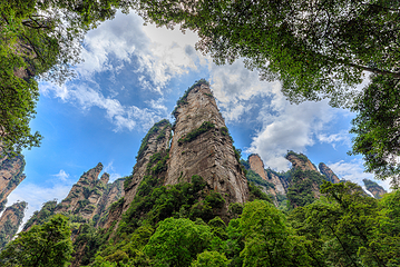 金鞭溪峡谷第 43 张图片