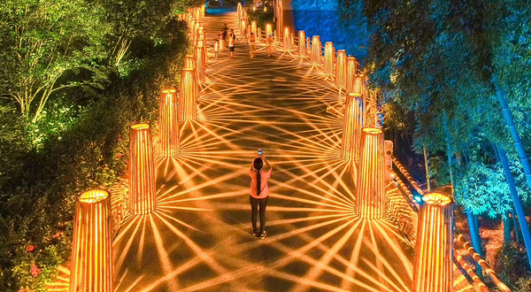 蔓塘里大地之光景区