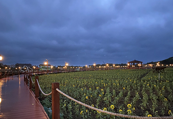 惠来滨荷湾旅游景区第 5 张图片