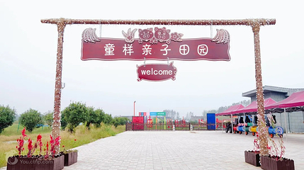 柳孜文化园第 2 张图片