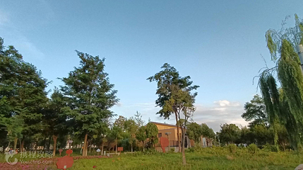 西河公园第 3 张图片