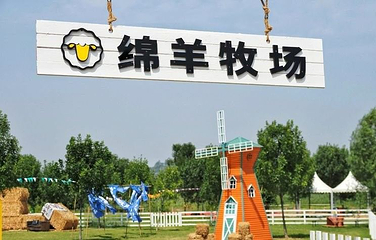 撒欢鸭绵羊牧场第 1 张图片
