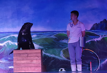 鹏新嘉定海洋世界第 26 张图片