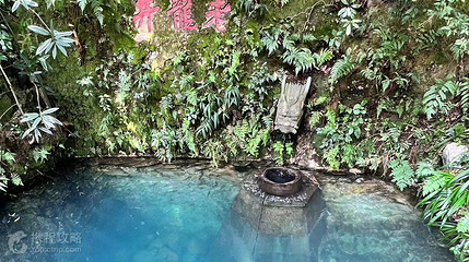 龙井问茶第 3 张图片