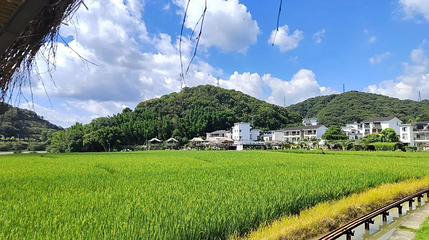 米埗村第 1 张图片