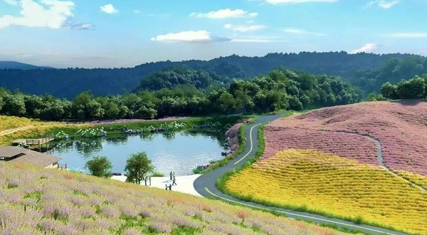 龙头山花湖田源景区