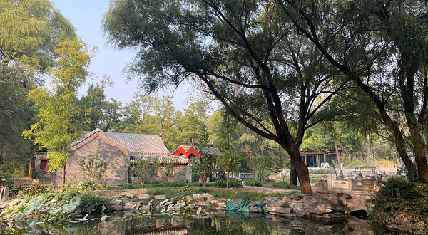北京大学-镜春园