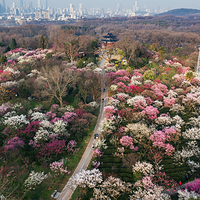 钟山风景名胜区