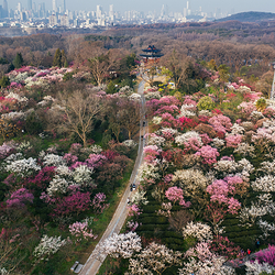 钟山风景名胜区