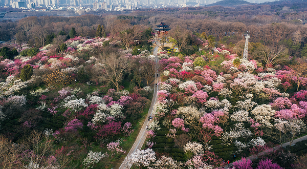 钟山风景名胜区