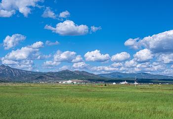 敕勒川草原第 6 张图片