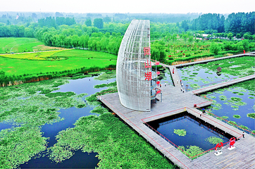 微山湖国家湿地景区第 1 张图片
