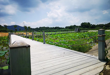 西和莲花餐厅第 1 张图片