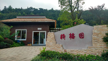 十里蓝山第 46 张图片