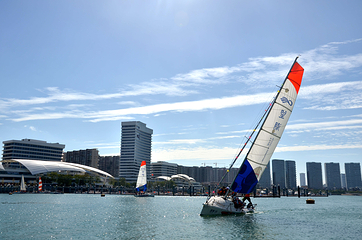 五缘湾帆船港第 29 张图片