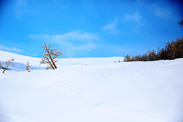 可可托海国际滑雪度假区第 10 张图片