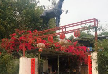 秃鹰骑马场第 1 张图片