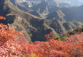 北京药王谷风景区第 41 张图片