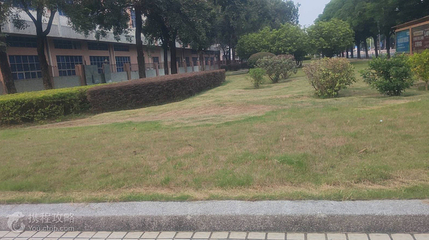 腾讯公园第 2 张图片