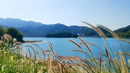 小杉村第 3 张图片