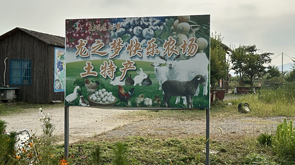龙之梦快乐农场第 1 张图片
