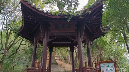 景宁石印山公园第 1 张图片