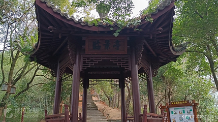 景宁石印山公园第 3 张图片