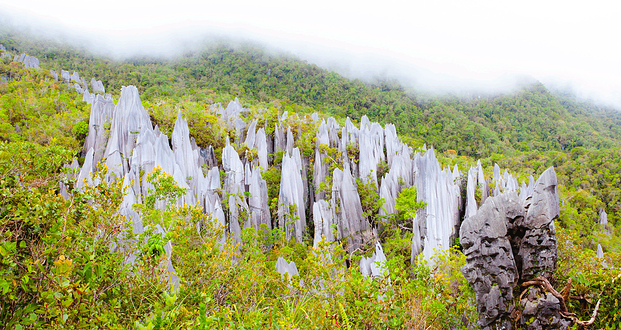 姆鲁山国家公园