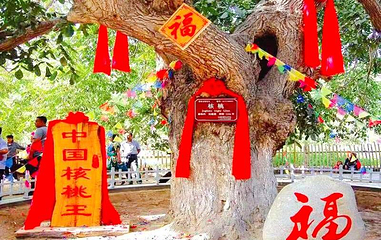 核桃七仙园第 1 张图片