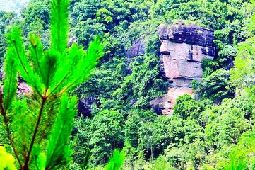 紫林山国家森林公园第 1 张图片