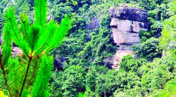 紫林山国家森林公园