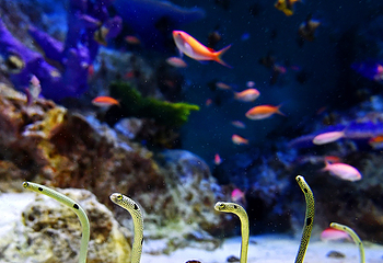 小樽水族馆第 20 张图片